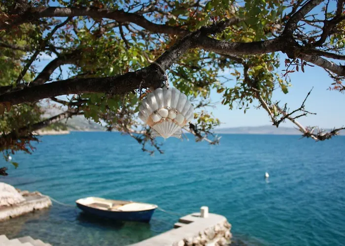 Mila 스타리그라드 파클레니차